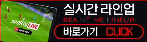 평생도메인